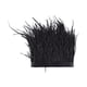 thumbnail image 1 of Flecos hechos a mano con adornos de plumas accesorios de ropa flecos negros con adornos de plumas DIY artesanía suave y exquisita para ropa ANGGREK Otros, 1 of 7