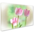 thumbnail image 2 of Trademark Fine Art "Three Pink Tulips" Canvas Art by Lois Bryan, 2 of 3