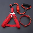 thumbnail image 2 of Juego de collares para perros pequeños, correa con hebilla ajustable, arnés para perros grandes, correa para caminar para chihuahuas, arnés para perros y mascotas, 2 of 5
