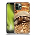 thumbnail image 1 of Head Case Designs Famous Animals Crawling Tortoise Soft Gel Case Compatible with Apple iPhone 11 Pro, 1 of 7