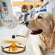 thumbnail image 3 of Flea Trap Dome Killer Bombilla Control de mascotas para el hogar (JP), 3 of 6