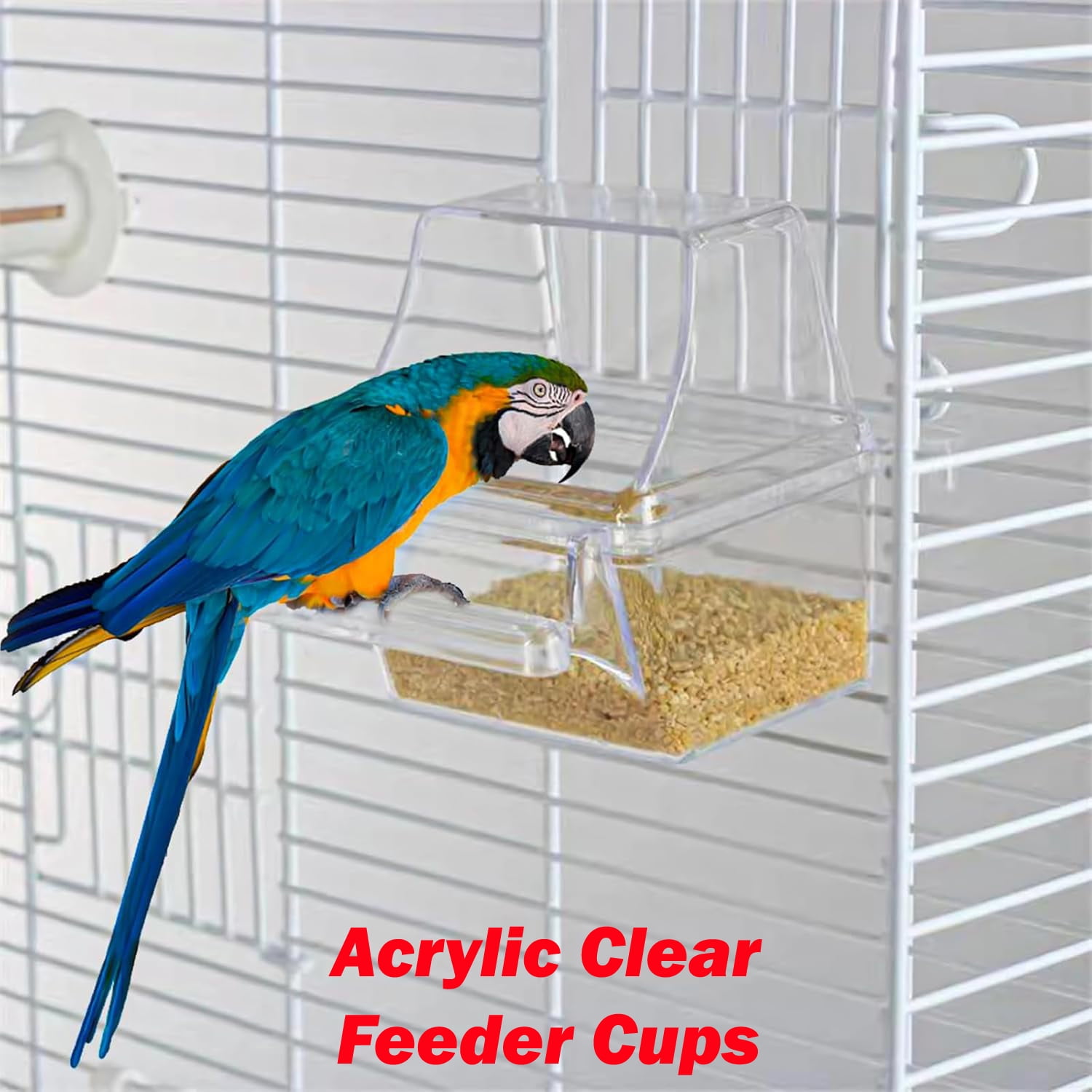 36-inch Portable Hanging Travel Open Top Bird Flight Cage for Parakeets Finches Canaries Lovebirds Small Quaker Parrots Cockatiels Budgie Green Cheek Conure