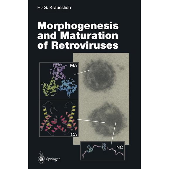 Current Topics in Microbiology and Immmu Morphogenesis and Maturation of Retroviruses, Book 214, (Paperback)