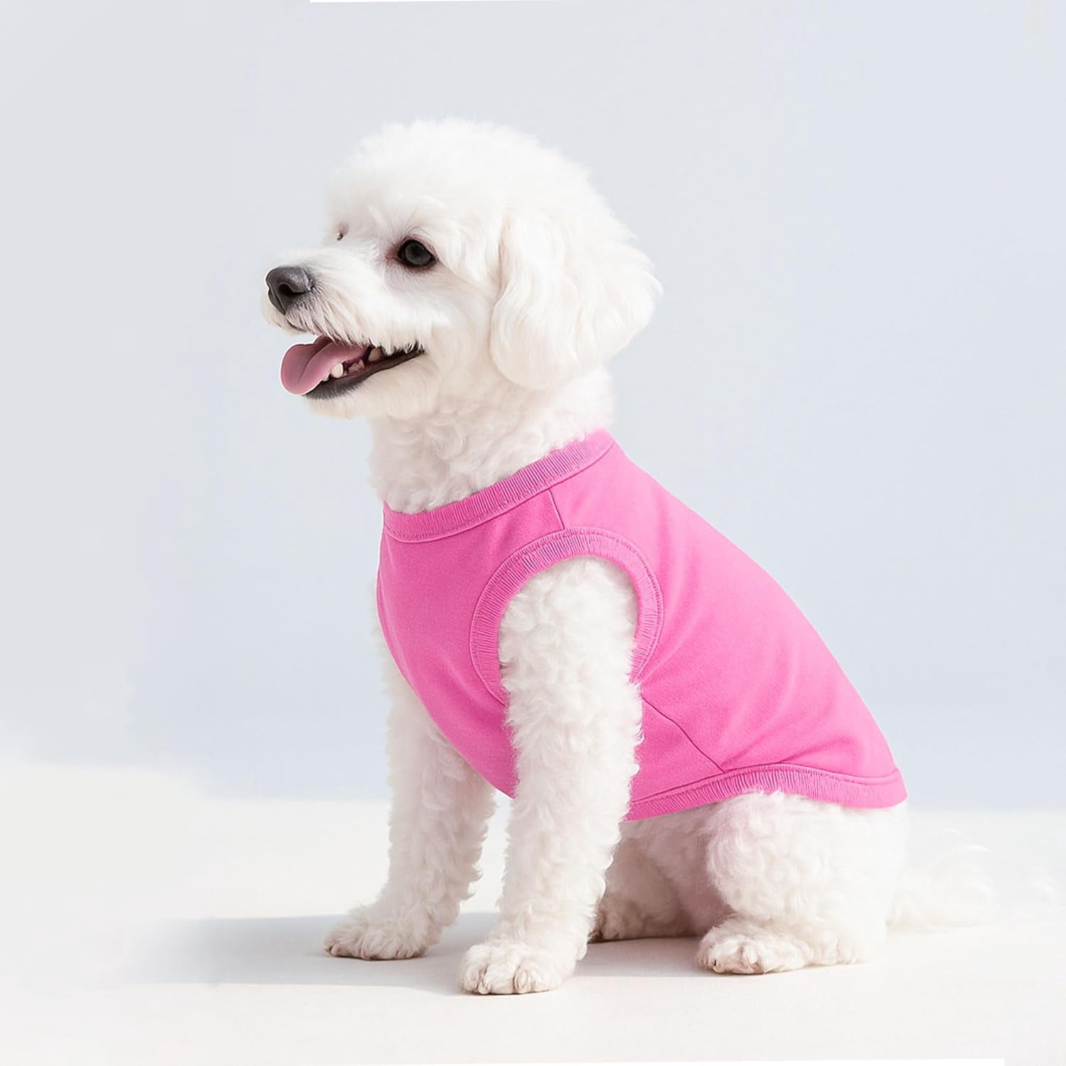 2 Pieces Dog Clothes Spring Summer Puppy Soft Dog Shirt Solid Color Chihuahua Clothes Pet Clothing Cute Cat Clothing XXS~M (Rose,Purple, Medium)