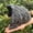 C, variant on Reptile Terrarium Habitat Decor D Color Extra Large for Ball Pythons, Lizards, Leopard Geckos, Bearded Dragons, Turtles