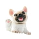 thumbnail image 4 of Estatua de perro, colección de esculturas de perro, mini estatua de resina de simulación, figuras de animales Doguillo, 4 of 9
