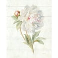 thumbnail image 3 of Gango Home Decor Shabby-Chic June Blooms I & II by Danhui Nai (Printed on Paper); Two 11x14in Unframed Paper Posters, 3 of 5