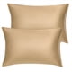 thumbnail image 1 of 2Pcs Fundas De Almohada De Microfibra Fundas De Almohada Oxford Estándar / Reina / Rey Oro 21x31 Pulgadas, 1 of 6