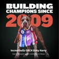 thumbnail image 4 of Bully Max 30/20 High Protein Beef Flavor Dog Food, 15 lb. Bag, 4 of 10
