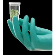 Ansell Large Bright Green 11'' NeoTouch 5 mil Neoprene Ambidextrous Exam or Food Grade Powder-Free Disposable Gloves With Textured Finger Tip Finish And Rolled Beaded Cuff