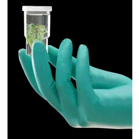Ansell Large Bright Green 11'' NeoTouch 5 mil Neoprene Ambidextrous Exam or Food Grade Powder-Free Disposable Gloves With Textured Finger Tip Finish And Rolled Beaded Cuff
