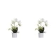thumbnail image 3 of Injueey Flores artificiales blancas para mascotas, amigables y no tóxicas, de apariencia realista, para amantes, decoración del hogar, amplia BF1912010 (377 g), BF1912010 (377 g) 2Conjunto, 3 of 6