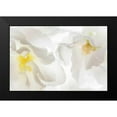 thumbnail image 2 of Mahan, Kathy 18x13 Black Modern Framed Museum Art Print Titled - Cherry Blossoms II, 2 of 5