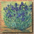 thumbnail image 3 of Epic Art 'Irises in Bloom I' by Tim O'Toole, Acrylic Glass Wall Art, 36"x36", 3 of 6