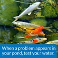 thumbnail image 7 of API PondCare Pond Master Test Kit Liquid Water Conditioner Fast Easy Accurate, 7 of 7