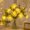 Yellow, variant on Hvot&aat 1.5M LED Artificial Jasmine Flower String Lights Battery Powered Waterproof Fairy Garland Bedroom Wedding Garden Party Home Wall Decor Lighting