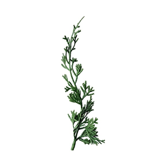 DefiDgd Artificial Evergreen Leaves Branch,Small Faux Green Stem Vase Filler Greenery Pick for Christmas Wreath Filling Table Mantel Indoor Floral Arrangement Winter Home Decor