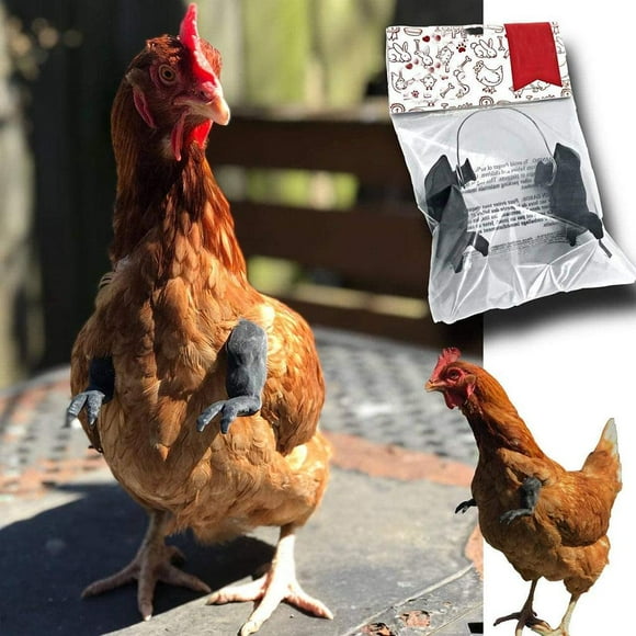 Juguete de brazos para disfraz de pollo Sincero