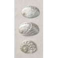thumbnail image 2 of Frank, Assaf 11x18 White Modern Wood Framed Museum Art Print Titled - Opalescent I, 2 of 4