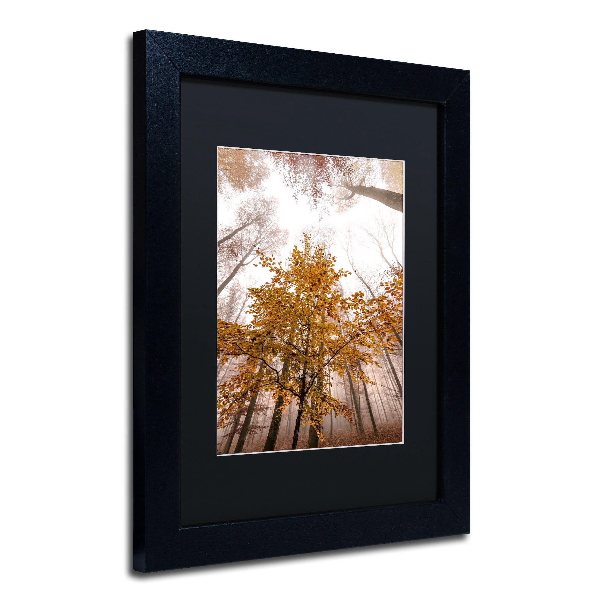 Trademark Fine Art "Foggy Days" Canvas Art by Philippe Sainte-Laudy Black Matte, Black Frame