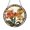 Acrylic 3.5 Inch, variant on Amber Winged Dragonfly And Red Amaryllis Suncatcher Circle Plaque Art