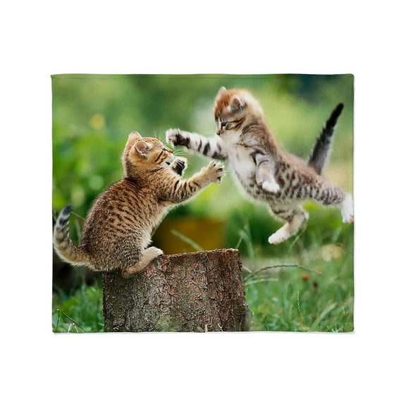 CafePress - Ninja Kittens Throw Blanket - Soft Fleece Throw Blanket, 50"x60" for All Ages