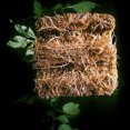 thumbnail image 4 of Hongchun Rockwool Blocks Rockwool Plant Plugs Rockwool Cubes,Hydroponic Cylindrical Rockwool Rockwool Cubes for Seedling Planting Seedling Substrate Set of 26, 4 of 5