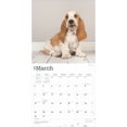 thumbnail image 3 of Basset Hounds 2025 12 X 24 Inch Monthly Square Wall Calendar Plastic-Free, (Paperback), 3 of 9