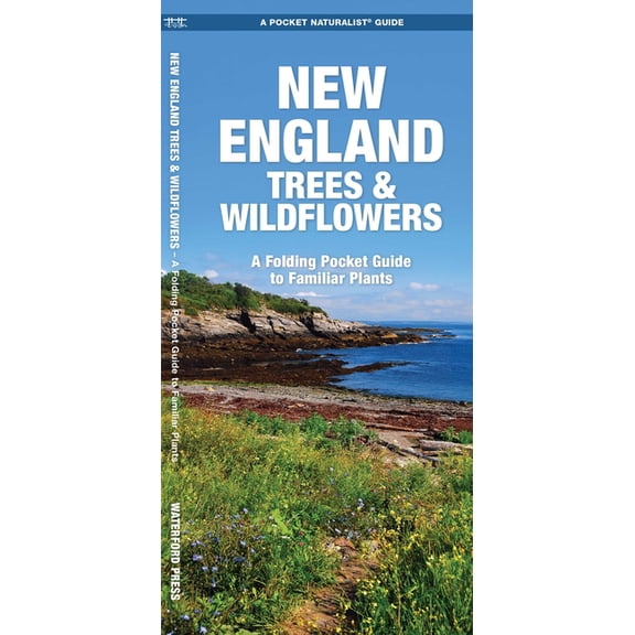 Nature Observation North America New England Trees & Wildflowers, (Paperback)