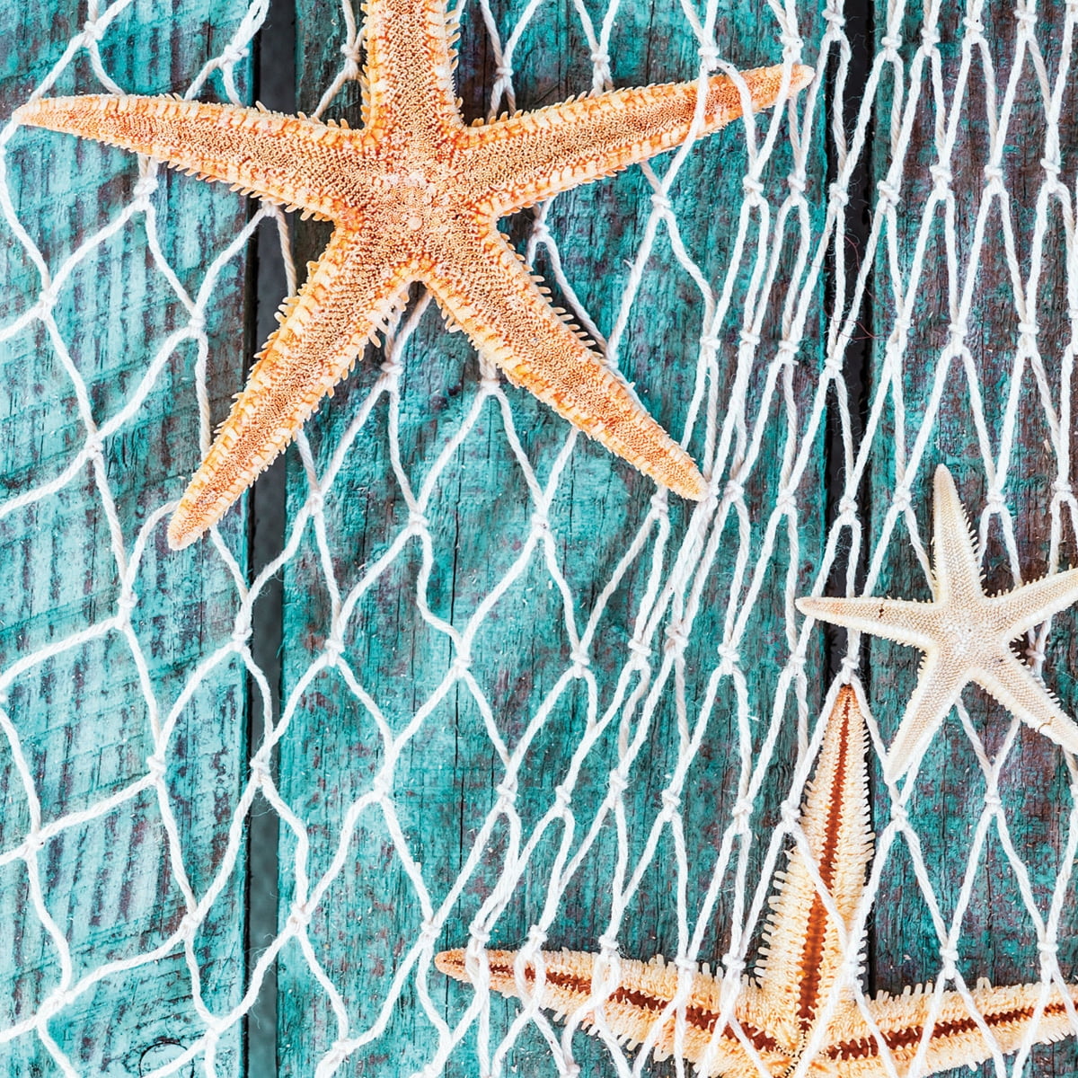 Cotton Fish Net 6' x 6', Natural