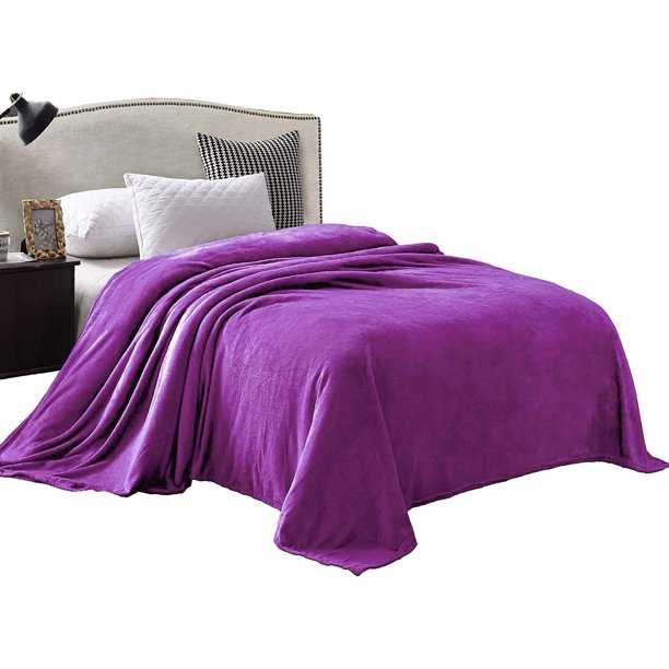 Exclusivo Mezcla Twin Size Flannel Fleece Velvet Plush Bed Blanket as