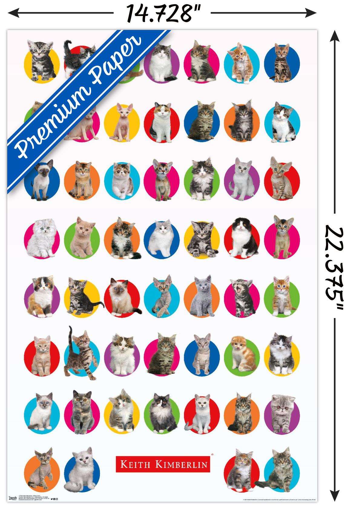 Keith Kimberlin - Kitten Grid Wall Poster, 14.725" x 22.375"
