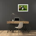 thumbnail image 3 of Eskridge, Daniel 32x23 White Modern Wood Framed Museum Art Print Titled - Reclining Panda, 3 of 4