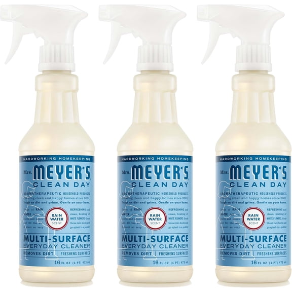 CLEAN DAY Multi-Surface Everyday Cleaner, Rain Water Scent, 16 Fl Oz Bottle - 3 Pack