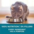 thumbnail image 5 of Purina ONE Dry Cat Food, Salmon & Rice Formula - 1.59 kg Bag, 5 of 5