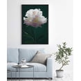thumbnail image 2 of IDEA4WALL Framed Canvas Art Wall Decor A White Chinese Peony with Black Background Floral Flower Photography Realism Romantics Closeup Relax/Calm for Dorm Home Office - 24"x36", 2 of 4