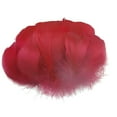 thumbnail image 2 of Hexang 100PCS Diy Big Floating Feathers Plumage Floating Hair Craft Decoration Wedding Plumage, 2 of 2