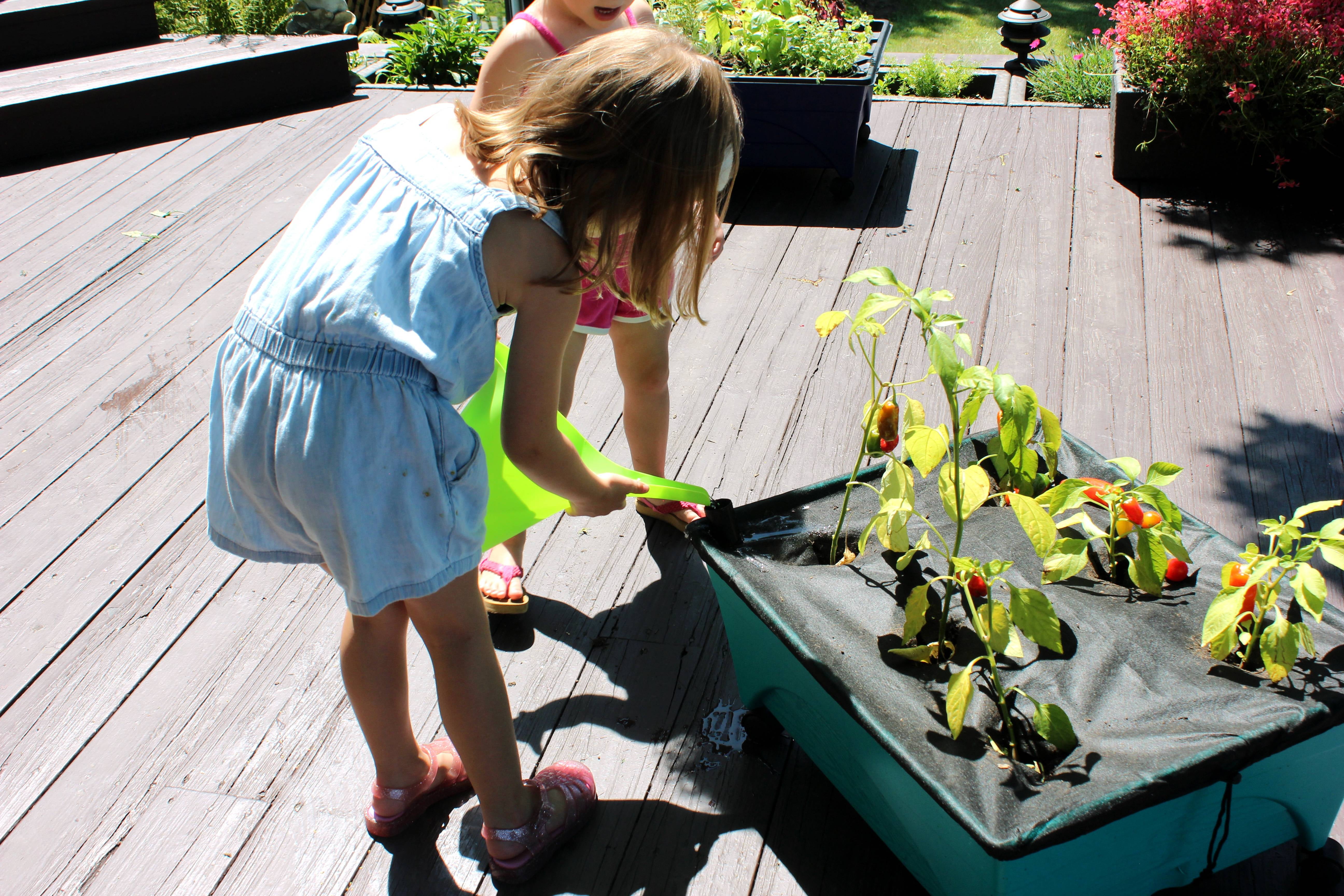 Emsco Group-  Little Pickers Garden Grow Box  Raised Bed with Self-Watering, Improved Aeration, Mobile Casters - Teal
