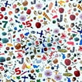 thumbnail image 5 of I Spy Find It Fast Dice Game, 5 of 5