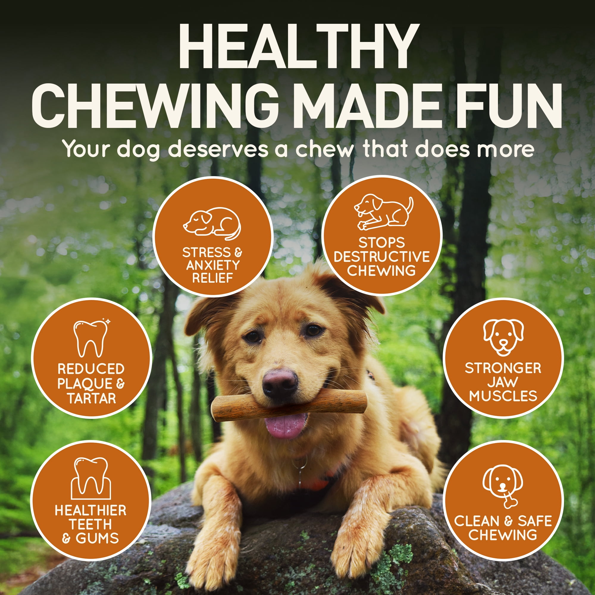 Wildfang® 3 Coffee Wood with Salmon Oil (Size S) Dog Chew Stick – Natural Salmon Oil Infused Wooden Chewing Stick for Dogs