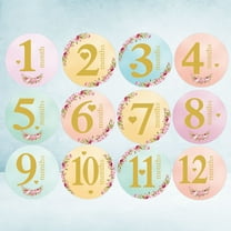 HINTRMENT 12Pcs Round Baby Milestone Stickers for Newborn Growth and Social Media Sharing