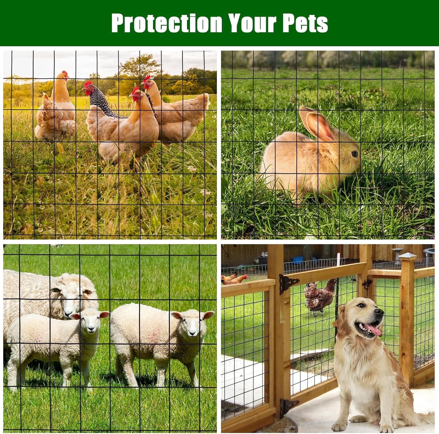 2 in x3 in 24 in x50 ft 16 Gauge, Chicken Wire Fence Wire Mesh Fence Galvanized Steel Poultry Netting Garden Fence Tree Guard Wire Fence Rolls Hardware Cloth for Yard Vegetable Protection