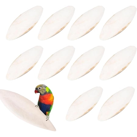 Cuttlefish Bone Toy, 10 Pieces Cuttlefish Bone for Tortoise Snails, Cuttle Fish Skeleton for Birds Chewing Toy, Natural Cuttle Fish Skeleton Cockatiel Treats, for Tortoise Accessories