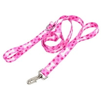 Country Brook Petz® 1 Inch Deluxe Pink Oh My Dog Dog Leash, 6 Foot