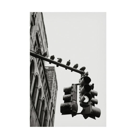 Trademark Fine Art Rikard Martin  New York City Doves Canvas Wall Art