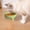 A, variant on Elevated Pet Bowl with Spine Design High Feet Cute Dog Cat Food and Water Feeder Dish for