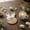 Khaki, variant on Easter Bunny Table Mats Set of 4 Flax Saucer Rope Coasters 8 Inch Round Natural Fiber Placemats for Holiday Party Decorations & Festive Dining Table Centerpieces