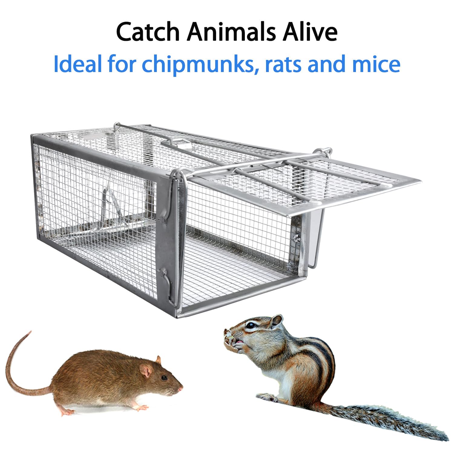Humane Live Catch and Release Cage Trap for Rat, Chipmunk, Mouse and Vole, Heavy Duty Reusable Rodent Trap, Pet Safe No Poison No Glue Design for Garden, Yard, Garage and Indoor Pest Control