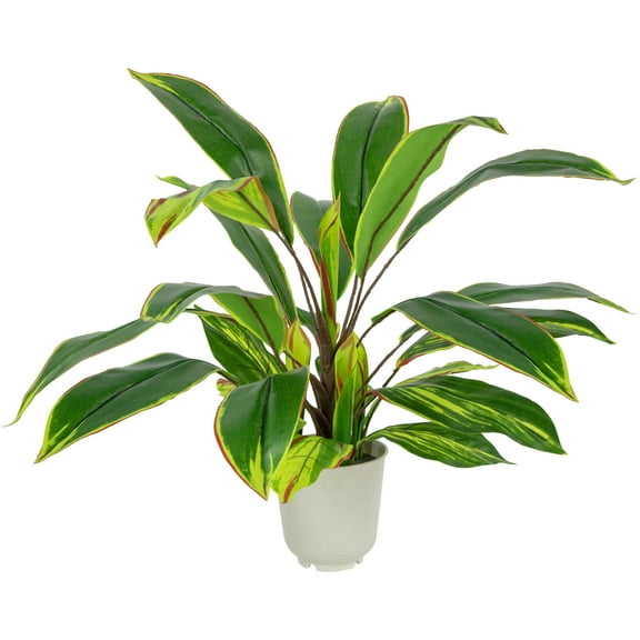Northlight 25" Green and Red Artificial Dracaena Plant in a Cream White Pot