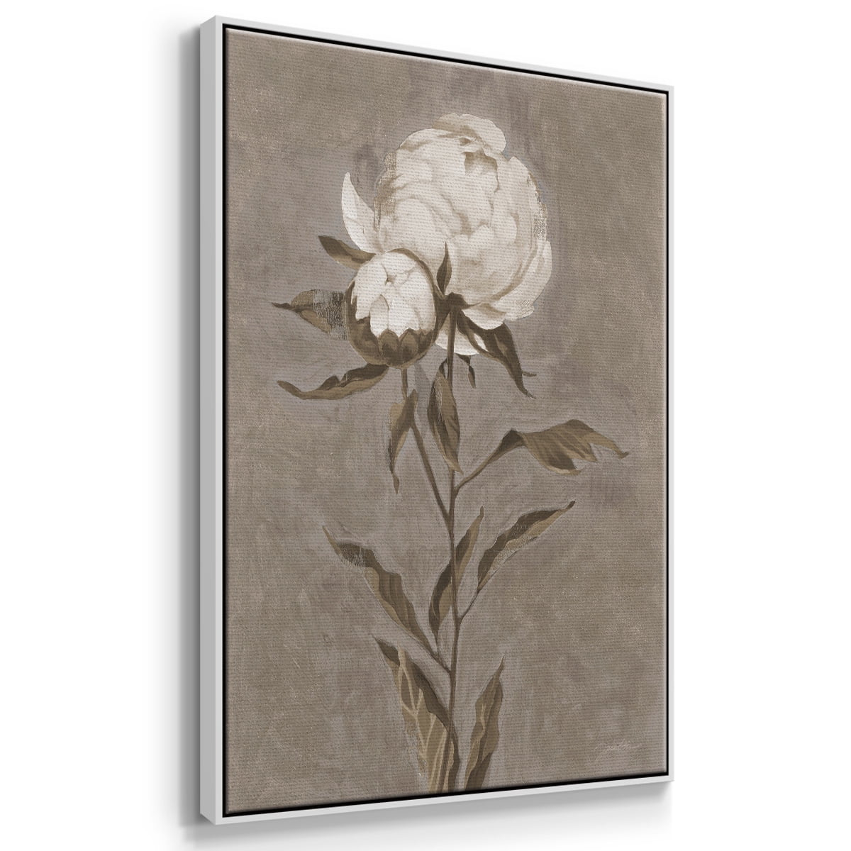 Pretty as a Peony II Framed Premium Gallery Wrapped Canvas - Ready to Hang - 25 x 37 - White Floating Frame